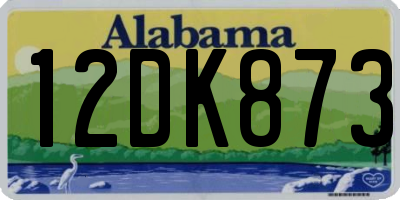 AL license plate 12DK873