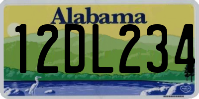AL license plate 12DL234