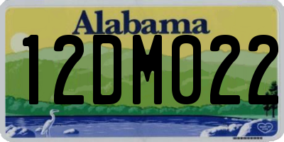 AL license plate 12DM022