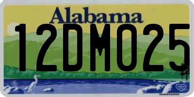 AL license plate 12DM025