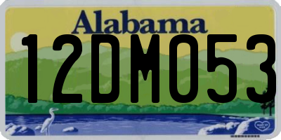 AL license plate 12DM053