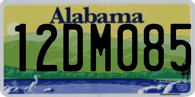 AL license plate 12DM085