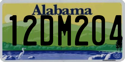 AL license plate 12DM204