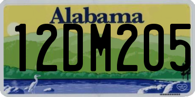 AL license plate 12DM205