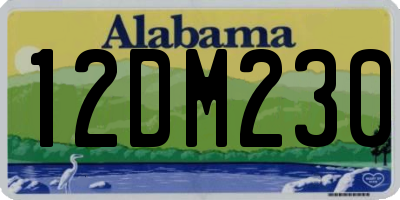 AL license plate 12DM230