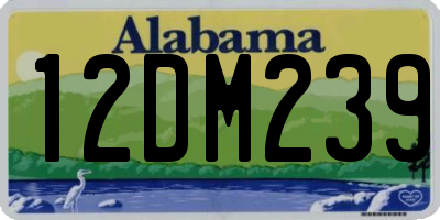 AL license plate 12DM239