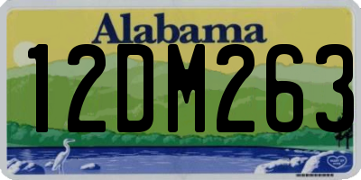 AL license plate 12DM263
