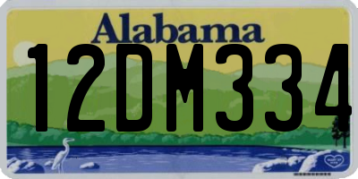 AL license plate 12DM334