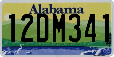 AL license plate 12DM341