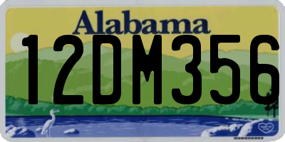 AL license plate 12DM356