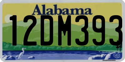 AL license plate 12DM393