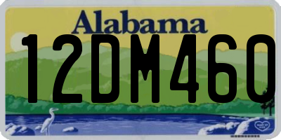 AL license plate 12DM460