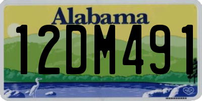AL license plate 12DM491