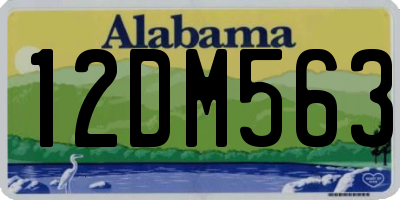 AL license plate 12DM563