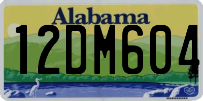 AL license plate 12DM604