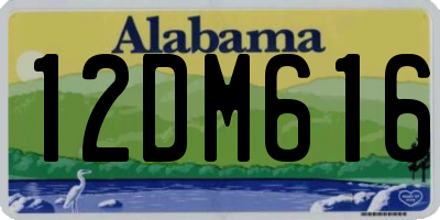 AL license plate 12DM616