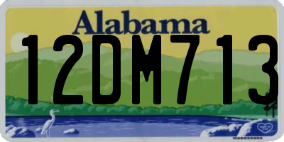 AL license plate 12DM713
