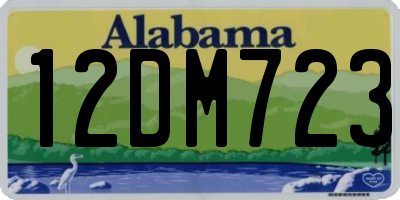 AL license plate 12DM723