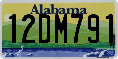 AL license plate 12DM791