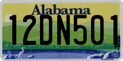 AL license plate 12DN501