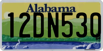 AL license plate 12DN530