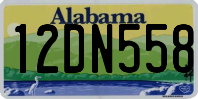 AL license plate 12DN558