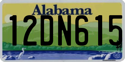 AL license plate 12DN615