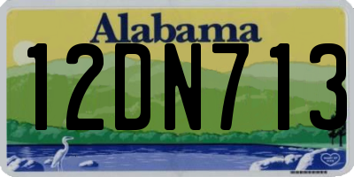 AL license plate 12DN713