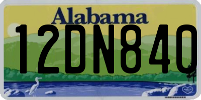 AL license plate 12DN840
