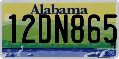 AL license plate 12DN865