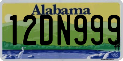 AL license plate 12DN999