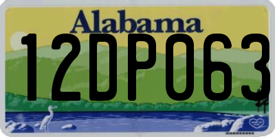 AL license plate 12DP063