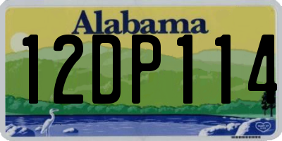 AL license plate 12DP114
