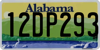 AL license plate 12DP293