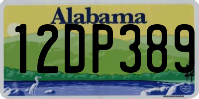 AL license plate 12DP389