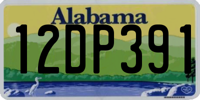 AL license plate 12DP391