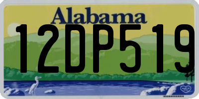 AL license plate 12DP519