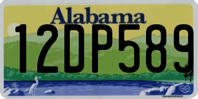 AL license plate 12DP589