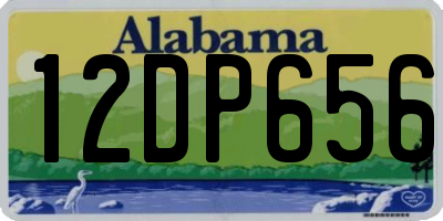 AL license plate 12DP656