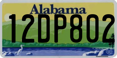 AL license plate 12DP802