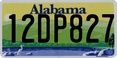 AL license plate 12DP827