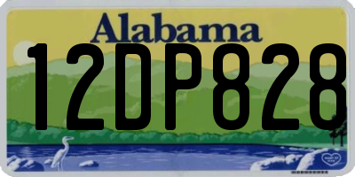 AL license plate 12DP828