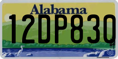 AL license plate 12DP830