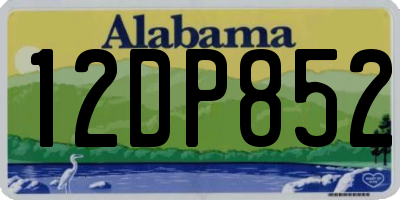 AL license plate 12DP852