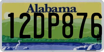 AL license plate 12DP876