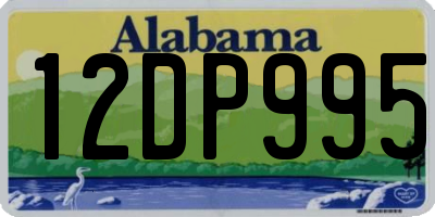 AL license plate 12DP995
