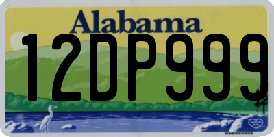 AL license plate 12DP999