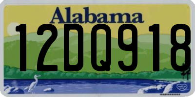 AL license plate 12DQ918