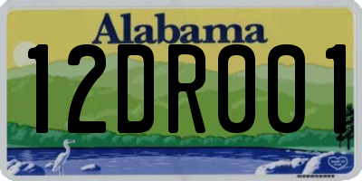 AL license plate 12DR001