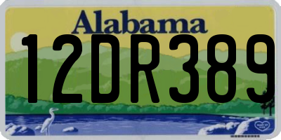 AL license plate 12DR389